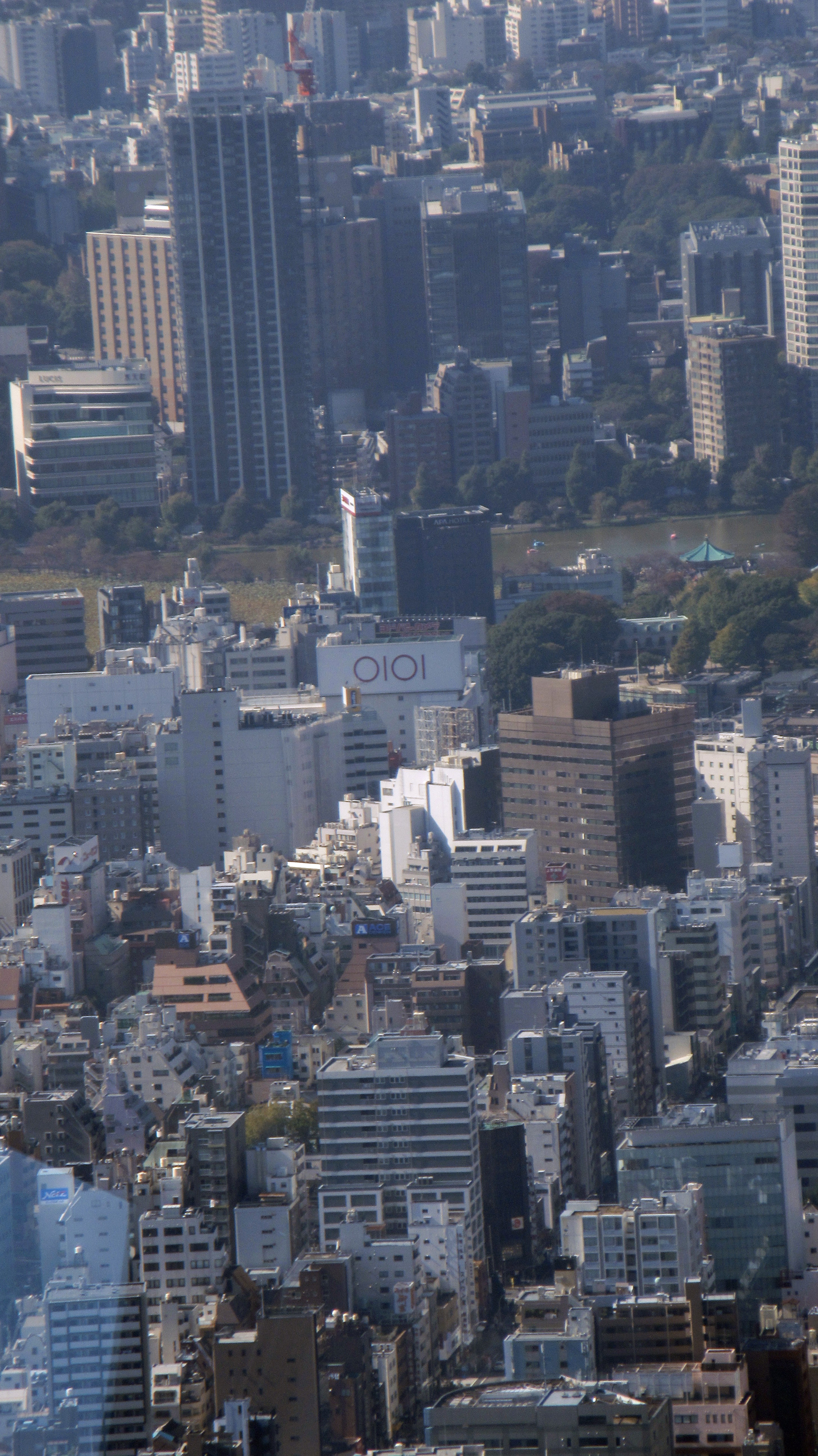 the ueno area